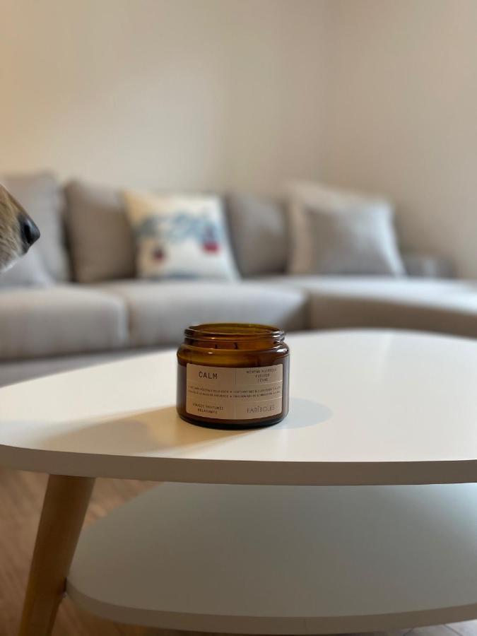 Appartement Idealement Situe Ax-Les-Thermes Eksteriør billede